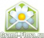 Логотип компании Доставка цветов Гранд Флора (ф-л г. Усть-Илимск)